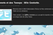 twitter interview mademoizelle geekette twitter interview mademoizelle geekette