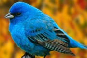 apprendre twitter apprendre twitter